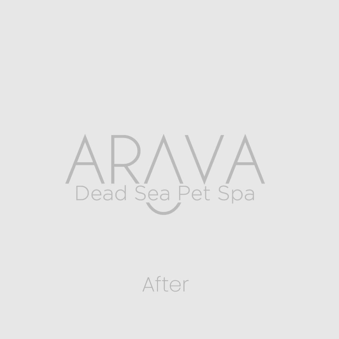 Logo, before and after