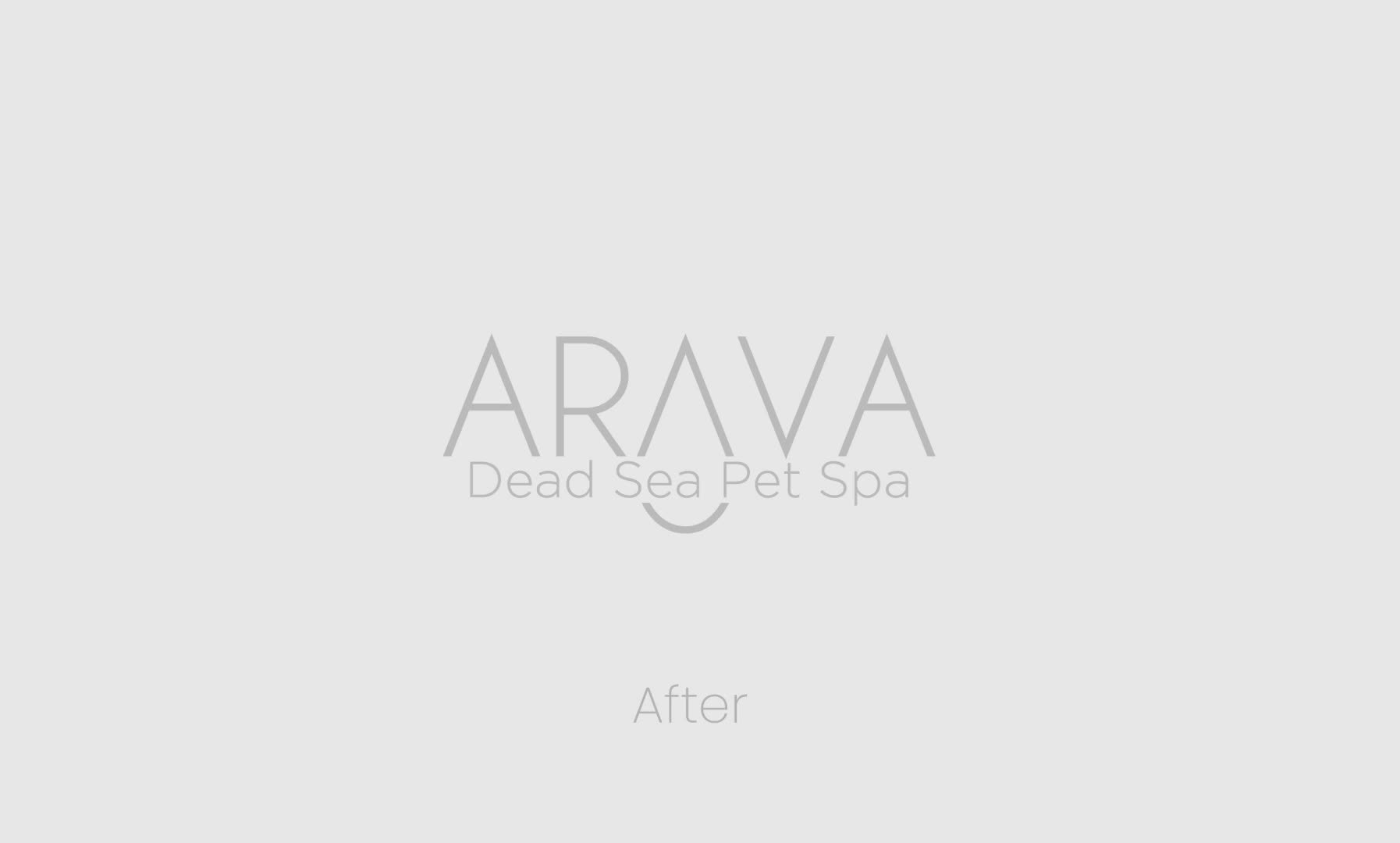 Logo, before and after