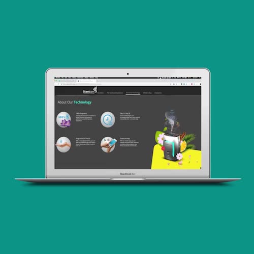 The site in motion