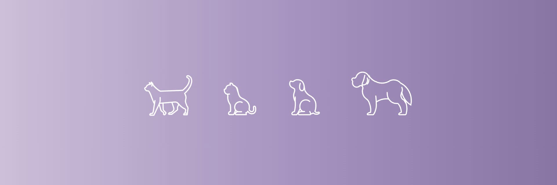 A cat, a kitten, a puppy and a dog, the Arava line icons