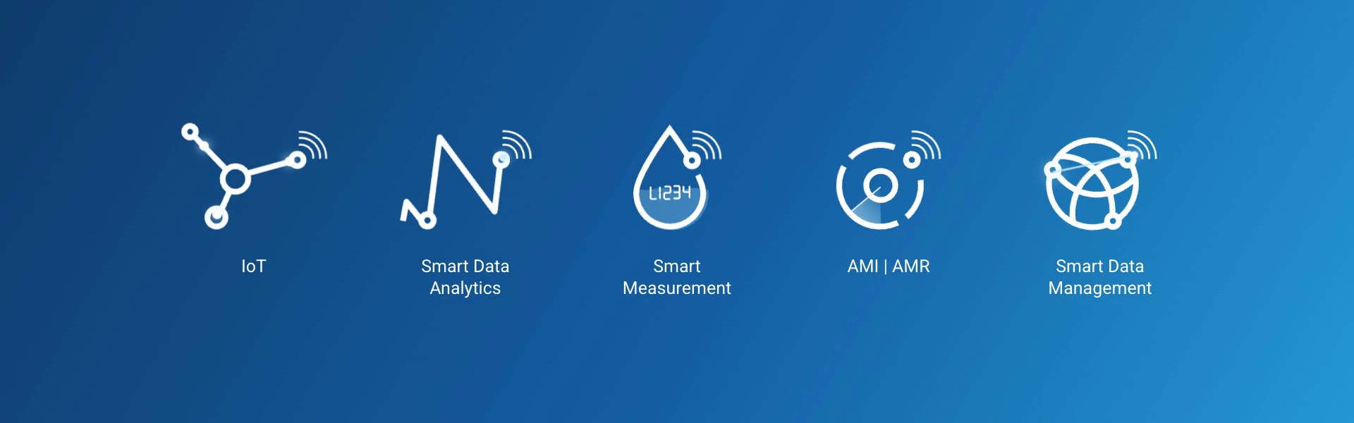 IoT, Smart Data Analytics, Smart Measurement, AMI | AMR, Smart Data Management